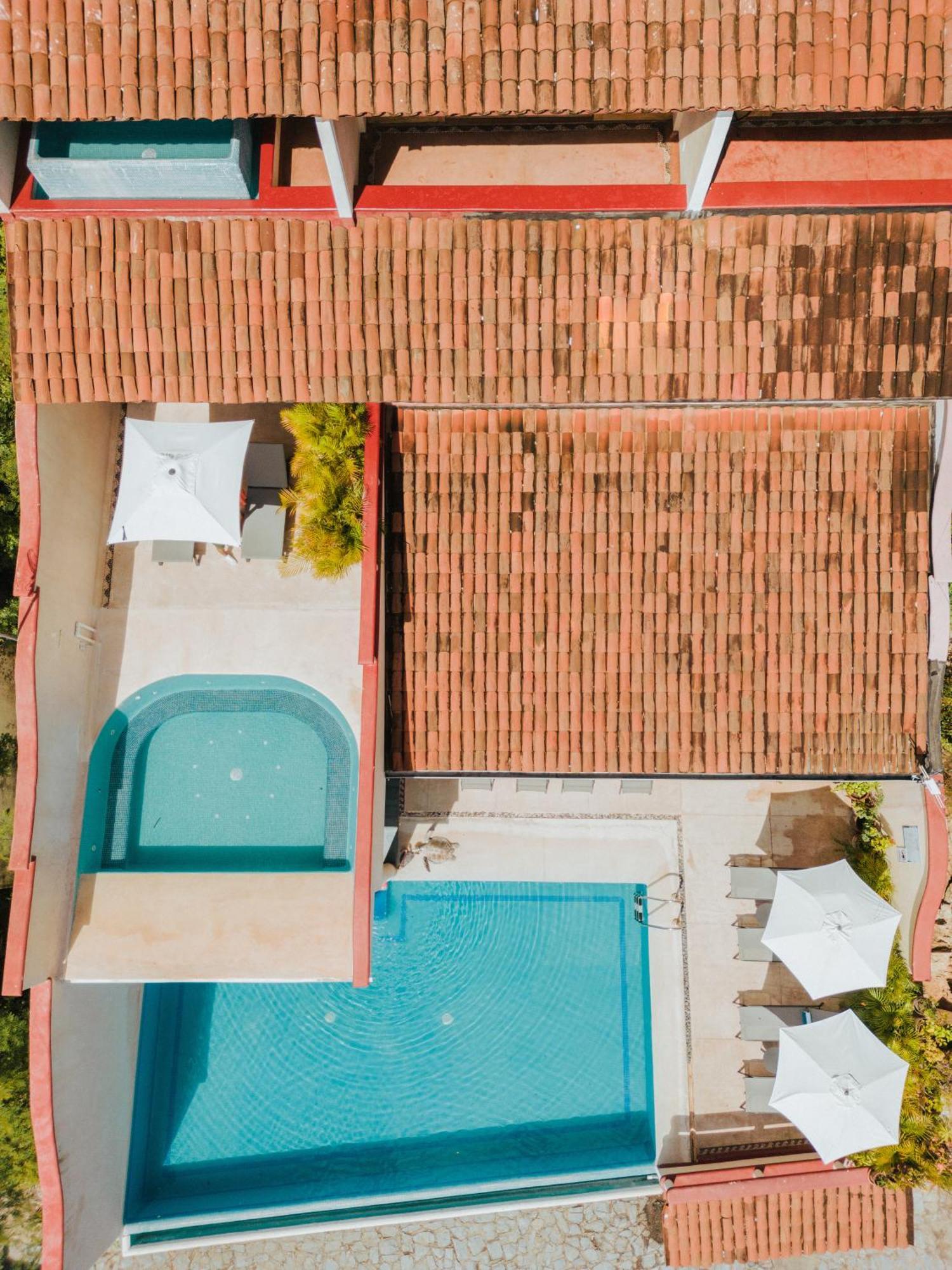 Villa Del Pescador Zihuatanejo Eksteriør billede